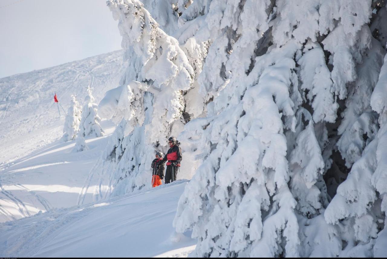 ホテル Vvf Les Monts Jura Lélex エクステリア 写真